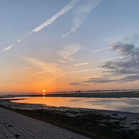 Vakantiewoning De Bosrand Aan Zee Sint Annaland Ngoại thất bức ảnh