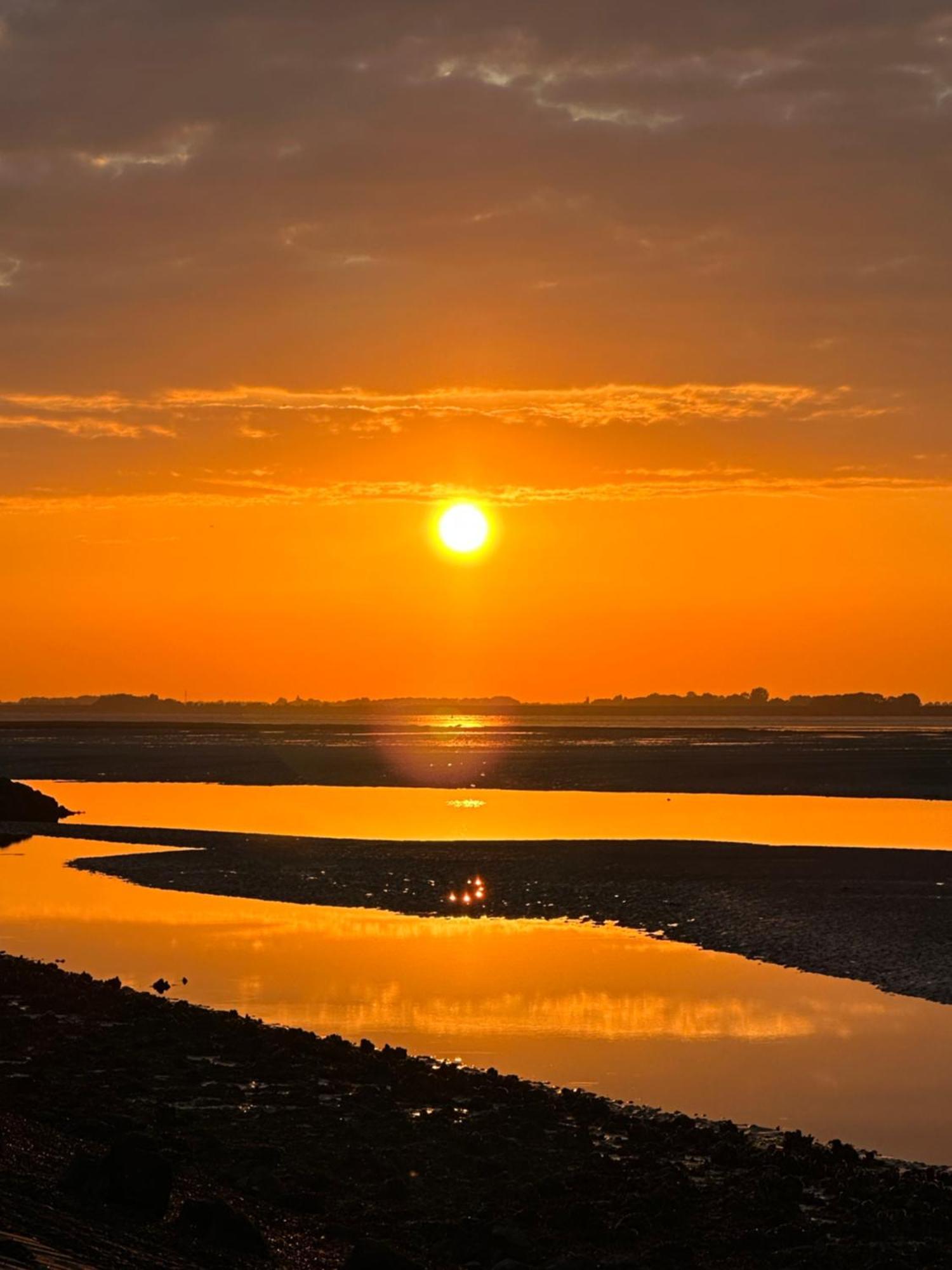 Vakantiewoning De Bosrand Aan Zee Sint Annaland Ngoại thất bức ảnh