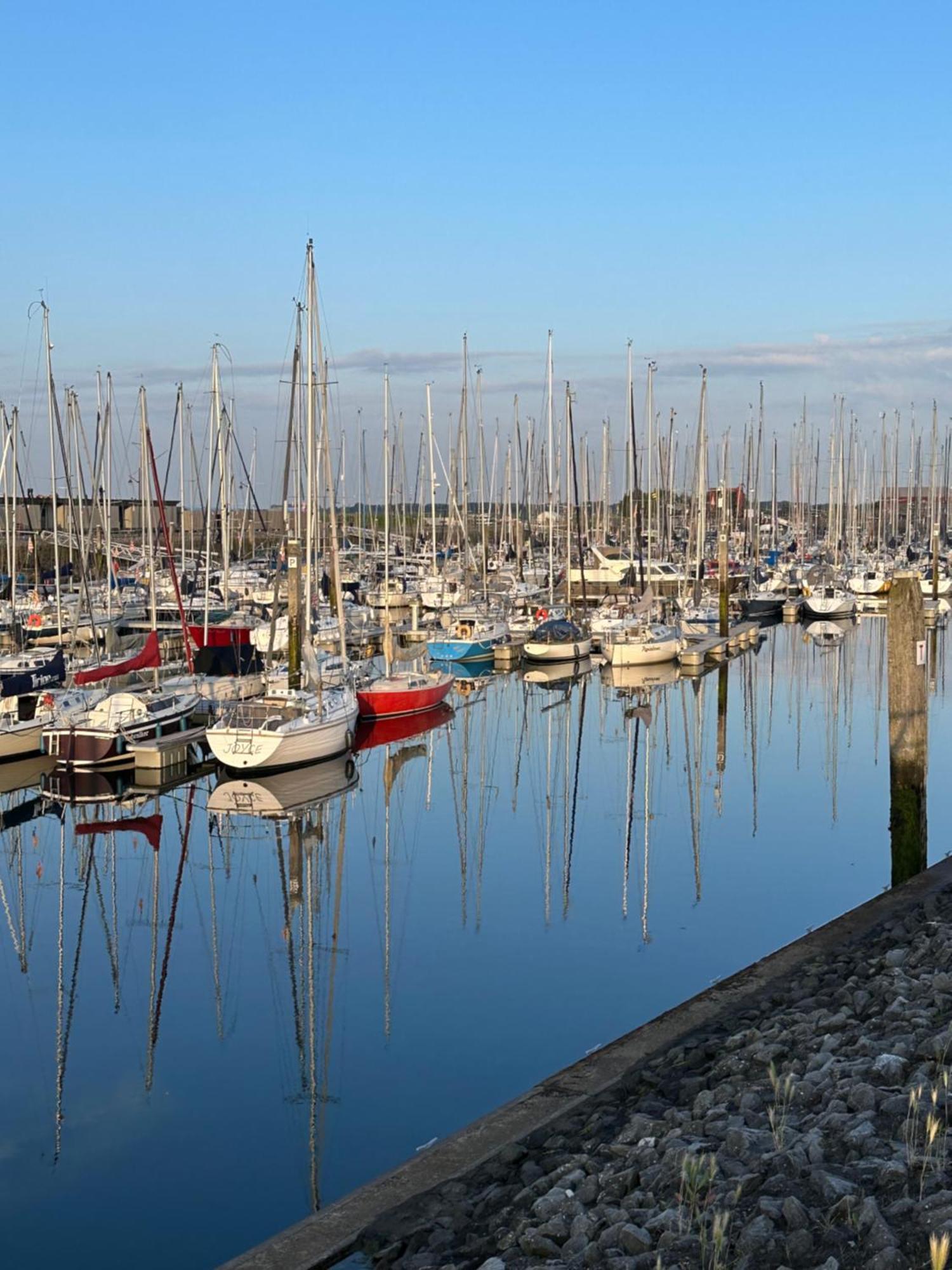 Vakantiewoning De Bosrand Aan Zee Sint Annaland Ngoại thất bức ảnh