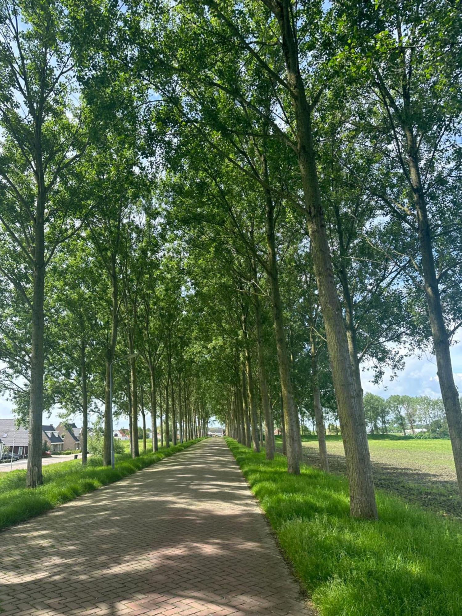 Vakantiewoning De Bosrand Aan Zee Sint Annaland Ngoại thất bức ảnh